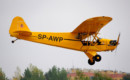 Piper J 3 Cub SP AWP