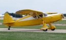 Fairchild 24R 46 1