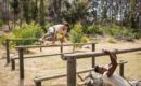 Military soldiers training