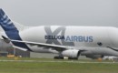 Beluga XL of Airbus Transport International