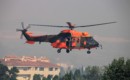 Eurocopter AS 532AL Cougar