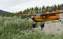 What is a Bush Pilot and how to become one