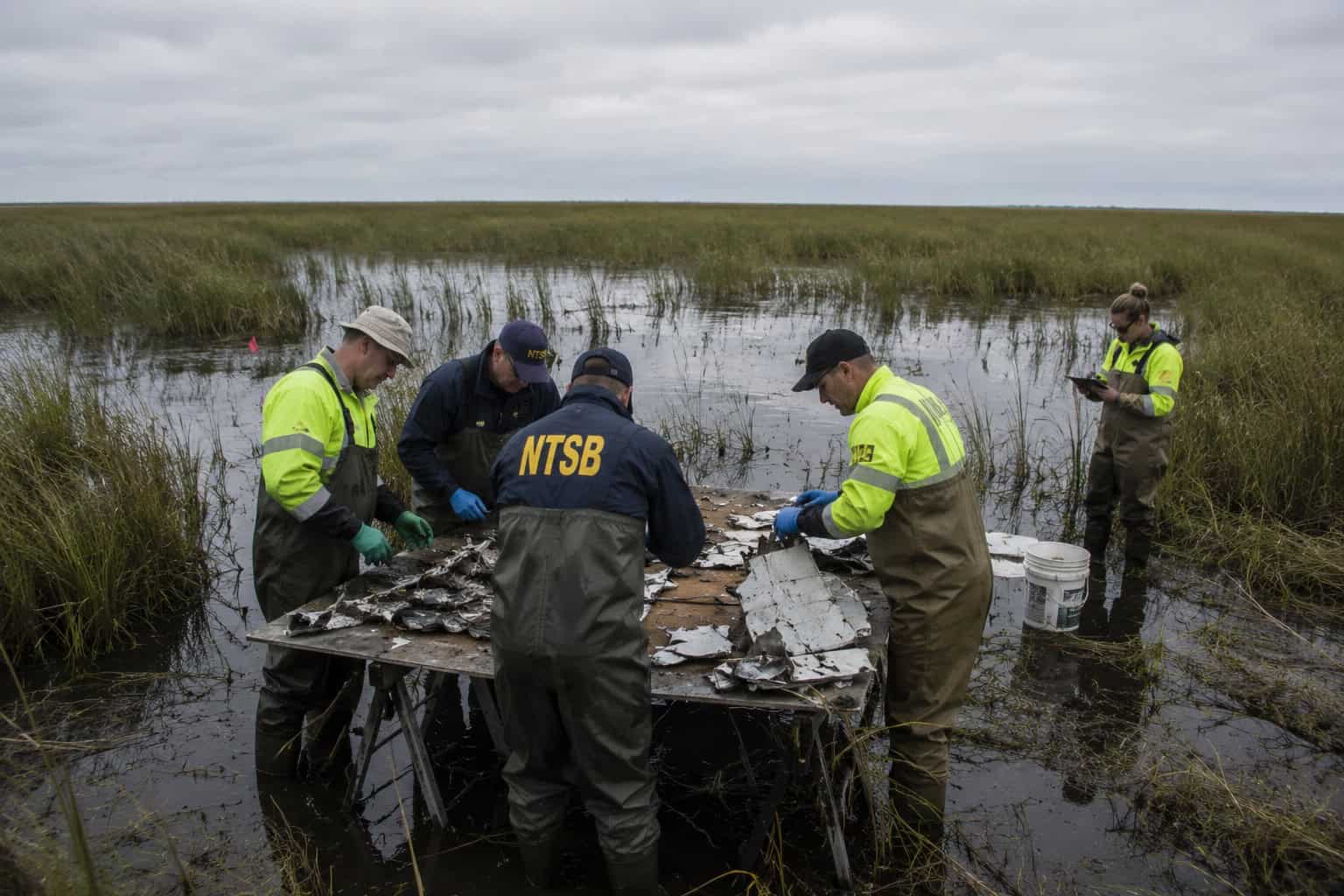 NTSB investigators and recovery personnel working at the edge of a shallow Florida marsh