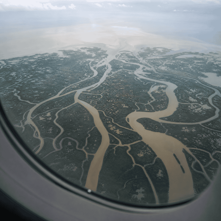 A river delta seen from altitude through an aircraft window, the river splitting into dozens of branching channels across a coastal plain, wetland vegetation filling the spaces between them
