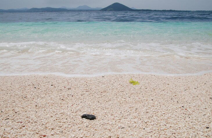 Beach on Jeju island