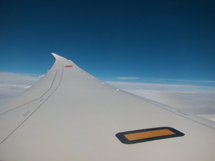 787 wing