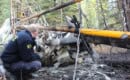 Two Fatal Alaska Plane Crashes in One Week Stretch NTSB Investigators