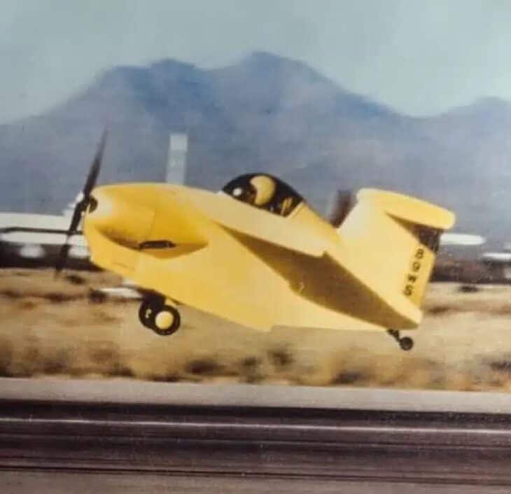 Starr Bumble Bee II