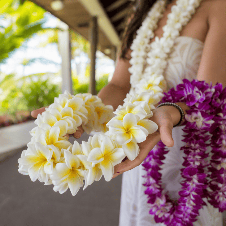 Plumeria and orchid lei are among the most popular choices for a Hawaii arrival.