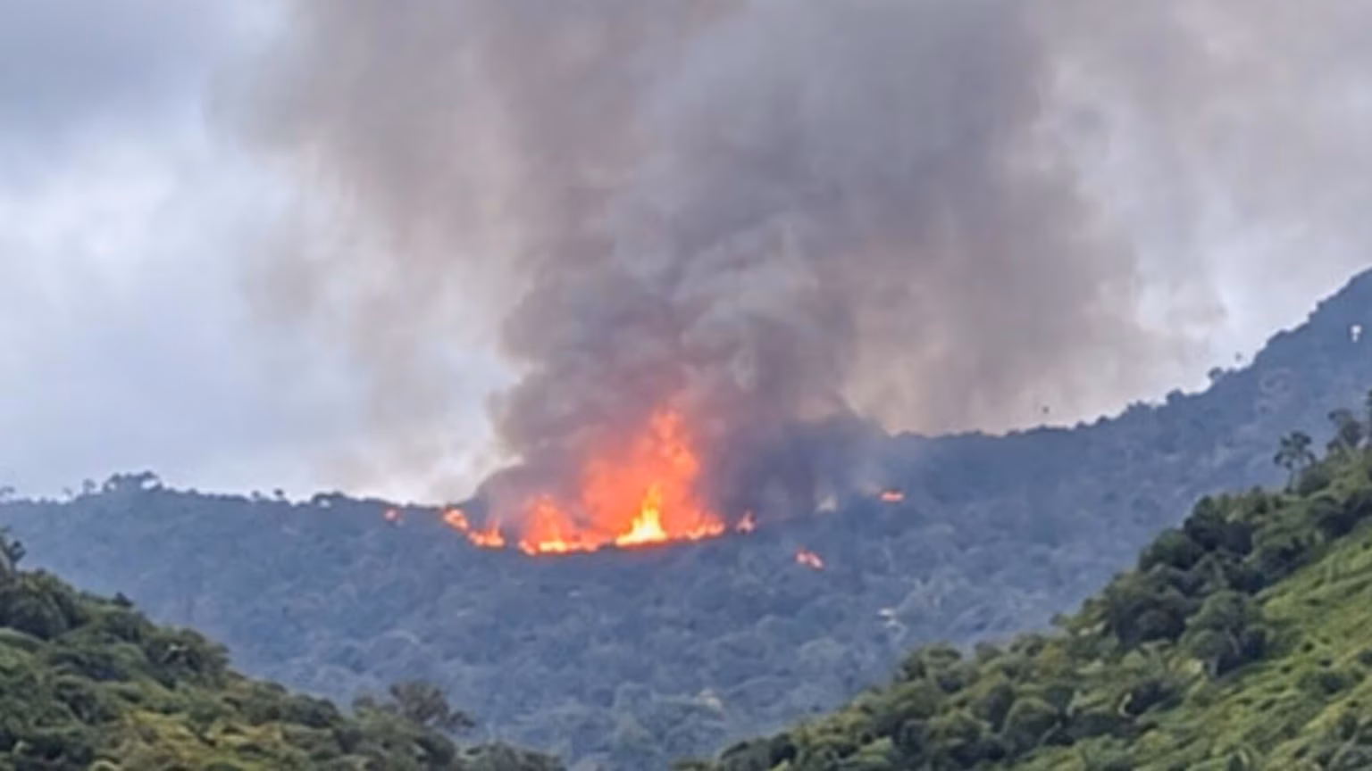 Cessna Citation Crashes in Nayarit Mexico