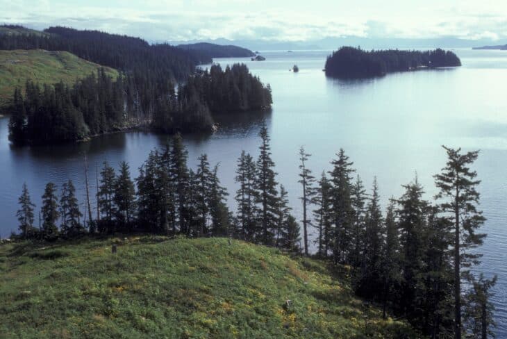 Forested coastline and an inlet on Afognak Island, Alaska