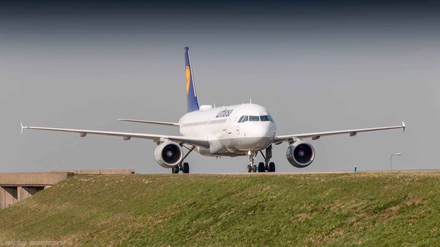 Lufthansa Airbus A320 taxiing head-on toward the camera, tail fin showing the crane logo