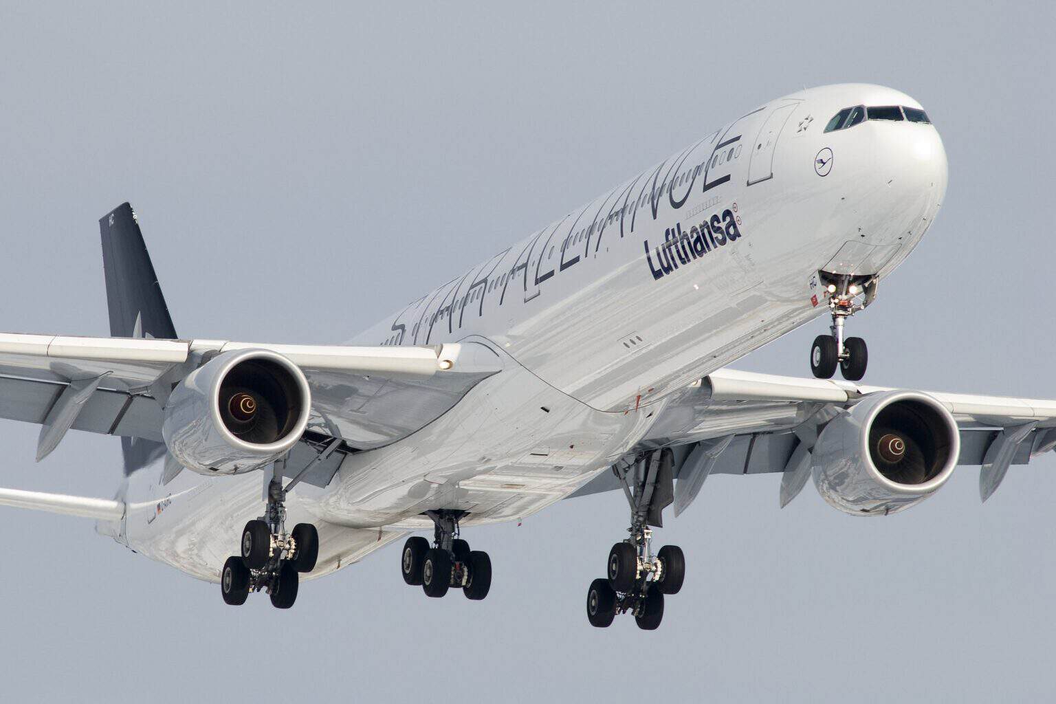 Lufthansa Airbus A340-600 in Star Alliance livery on final approach with landing gear extended