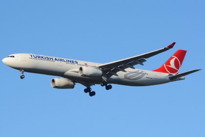 A Pigeon Strike on Turkish Airlines TK726 Shut Kathmandu Airport While Its Runway Cleaners Were on Leave