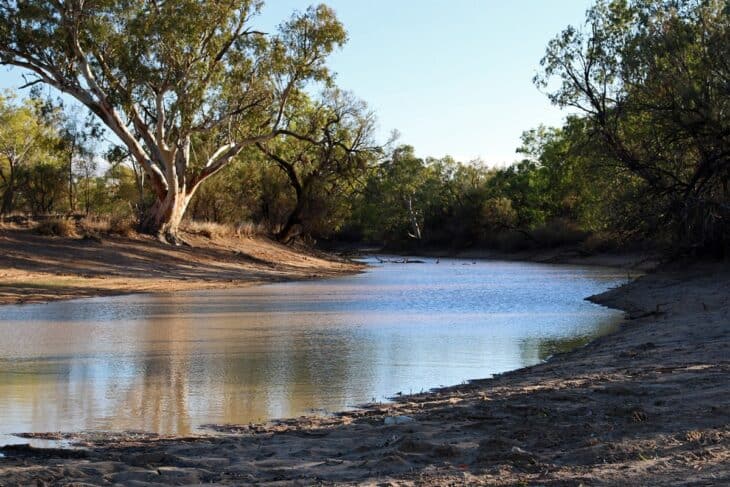 Almost dry bed of the Paroo River near Wanaaring, New South Wales, with river red gums on the bank