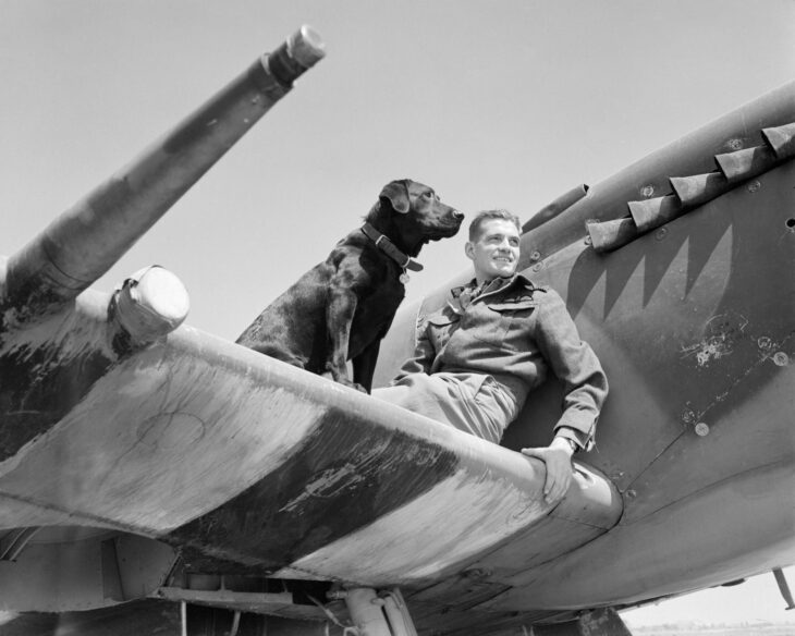 Wing Commander Johnnie Johnson sitting on a Spitfire wing with his Labrador